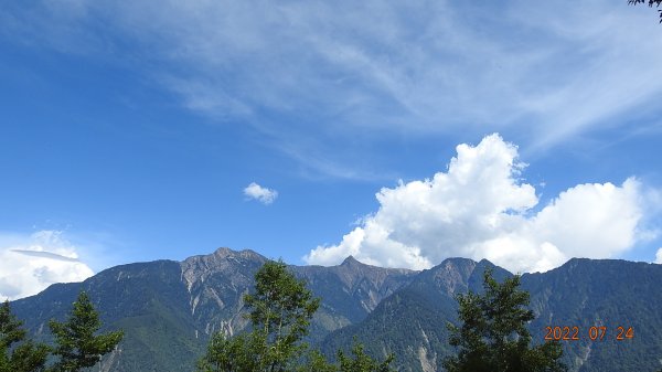 最高小百岳-大塔山2663M&阿里山二延平步道1775112