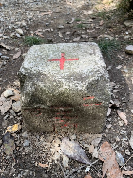 20251018台中八仙山2921426