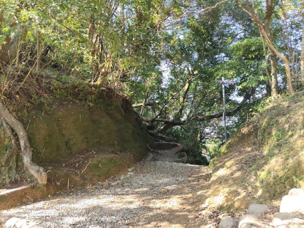 微笑山線：【二格山系】筆架連峰段2963181