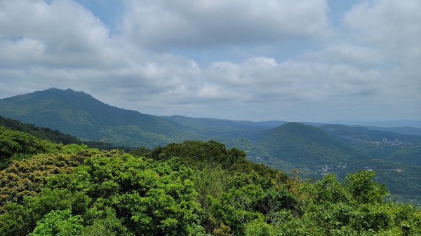 中正山環型步道2109301