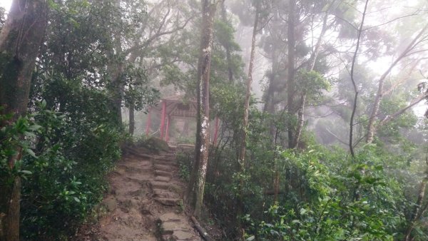 人在雲霧飄渺間的仙山