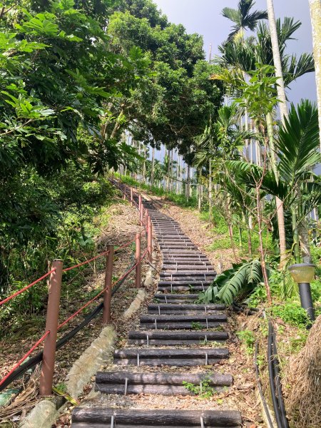 阿拔泉山稜線步道2642165