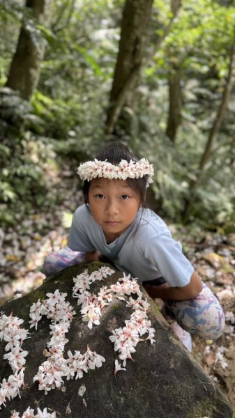 20250504大艽芎古道2837826