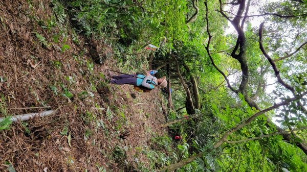 按圖索驥解鎖向天池山-202405192508229