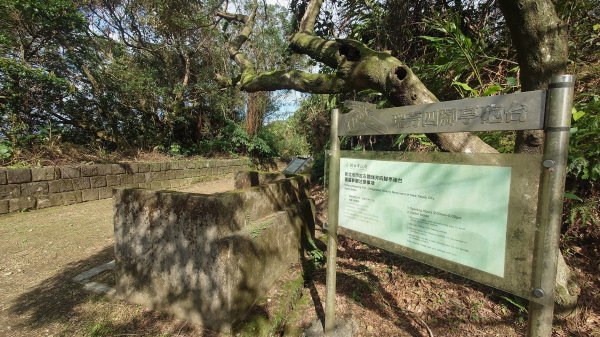 基隆東西天際線縱走(微加強版)2695558