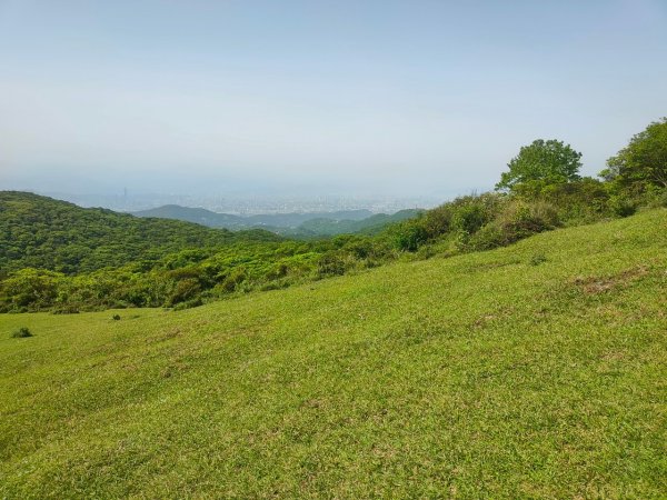 ［走遍陽明山］頂山石梯嶺步道+坪頂古圳2186468