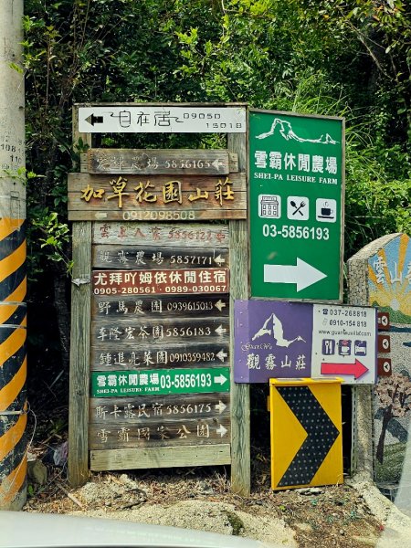 野馬瞰山步道-2025森遊竹縣皮皮獅探險隊2895220