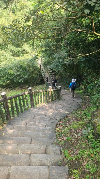 2025-0310臺北大縱走第七段2737281