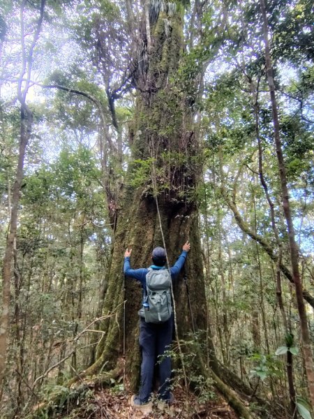 南東眼山連走有勝山2918757
