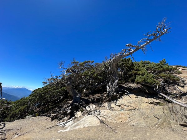 是不是有南字的山特別難成行南湖大山1875287