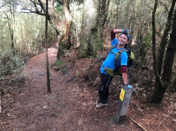 立鷹山.合歡北峰+合歡西峰【全力以赴解鎖979690