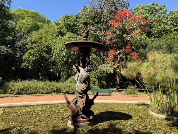 [紐約馬之行-60] 2025_1114 卡洛斯·泰斯植物園-下2954220