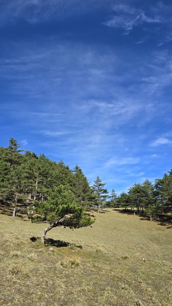 20241124-1130 南二段10座百岳2665460