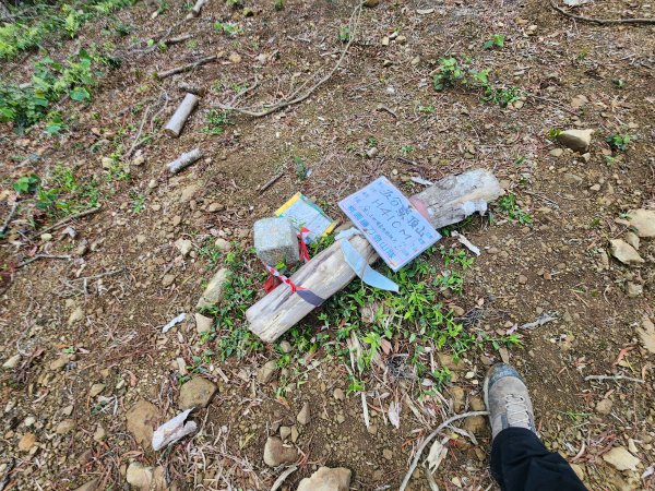 20260208五分寮頂山內大坪山石硬山O型3005236