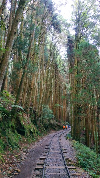 山林美境尋寶石特富野古道202009031090797