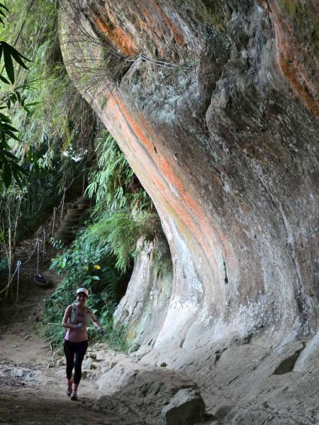 20250913_三峽鳶山爬山趣2882764