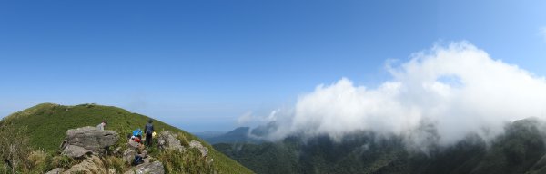 大屯山夜景/晨曦/日出/雲瀑/芒花&小觀音山西峰雲瀑10/26 & 11/12326939