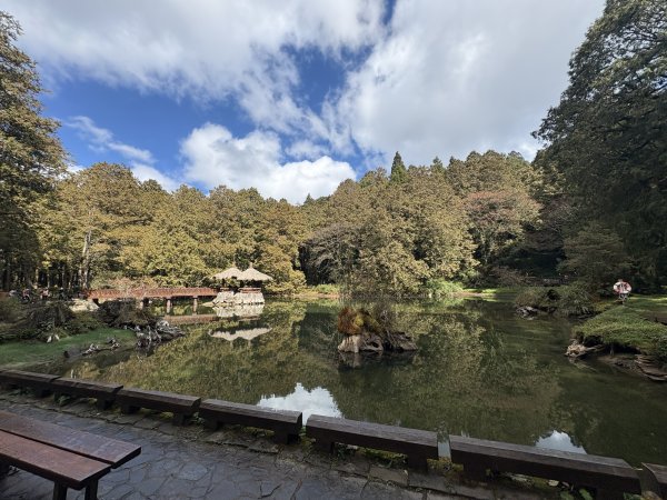 20251225塔山步道(大塔山)2970459