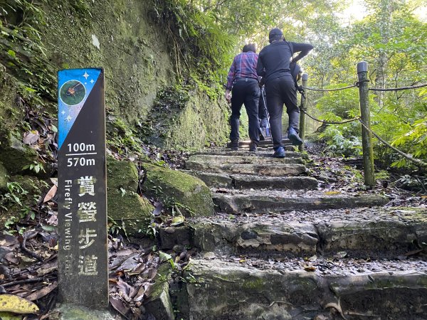 2025微笑山線大縱走尋寶集章任務-Ep.04【天上山系】望月亭桐花段｜石門內尖山東峰 ×石門內尖山2979079