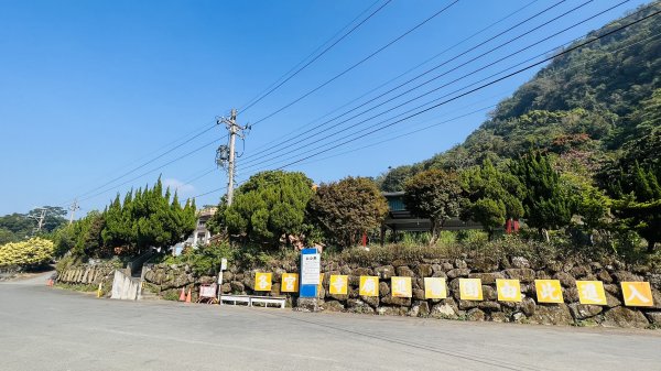 [台南東山]崁頭山步道|林蔭巨石木棧道視野遼闊的親子簡單輕鬆步道|優雅竹林圍繞三角點清幽野餐1603459