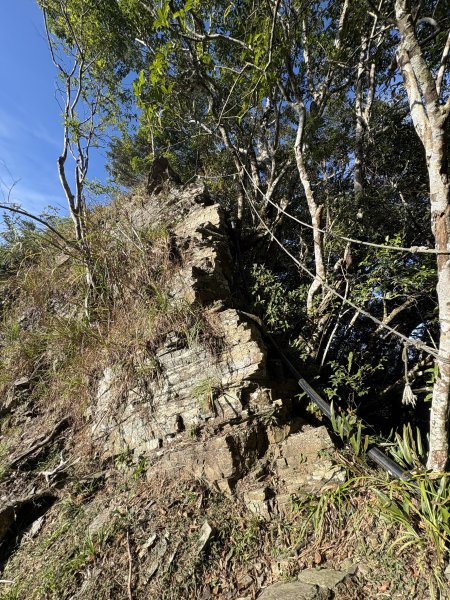 20251207藤枝山步道2957629