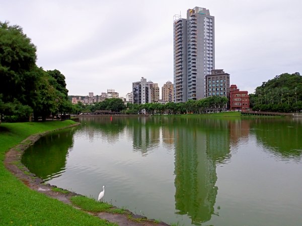 《細雨霏霏的碧湖公園環湖步道》