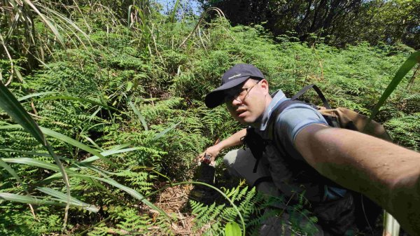 20250429蛇子形古道稜線段-八分寮古道-三角尖山-尪仔上天山-八分寮頂山2773576