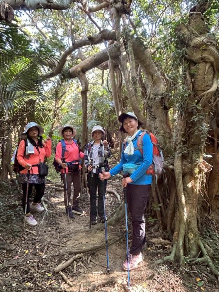 恆春大縱走:鎮南宮-赤牛嶺-大山母山(小百岳#81)-南灣出2963799