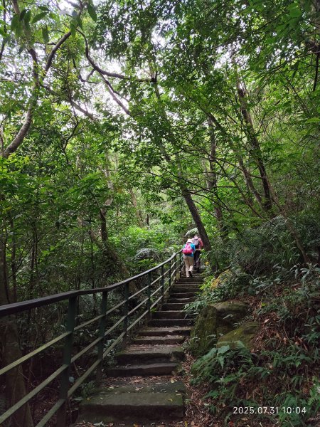 大湖公園→大溝溪生態治水園區→圓覺寺步道→圓覺瀑布→圓覺寺→鯉魚山步道【臺北大縱走 4、臺北健走趣】2849112