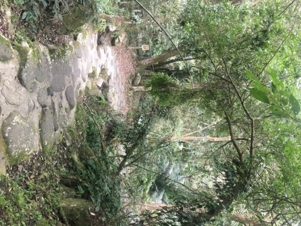 四十二份湧泉2723167