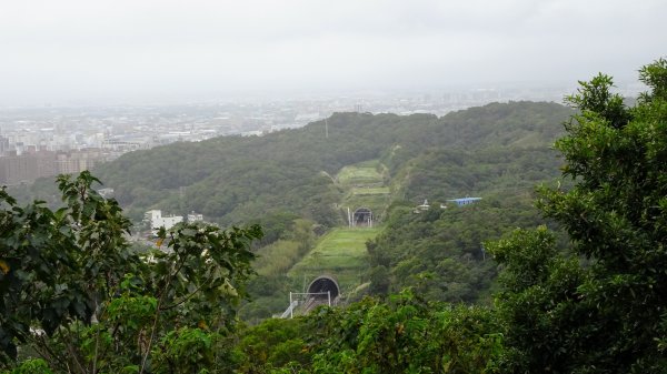 羊稠森林步道1158889