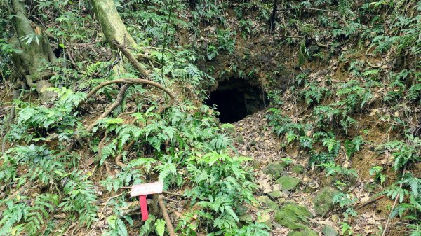 玉田古道,大湖越嶺保甲路2582309