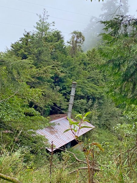 大雪山悠遊順撿基石1085405