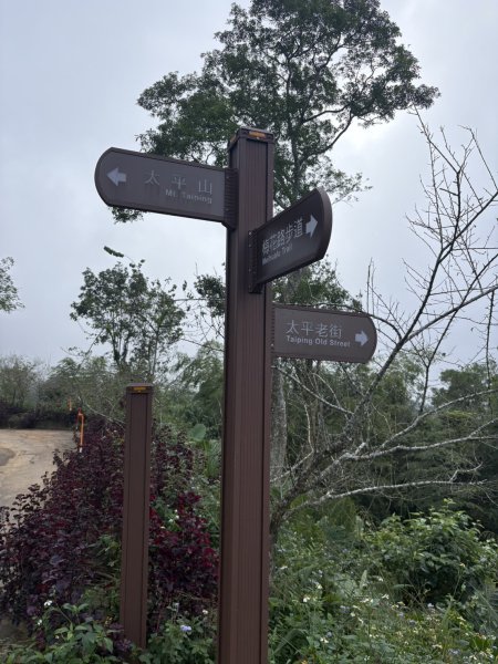 20251024雲嘉五連峰+碧湖山2924223