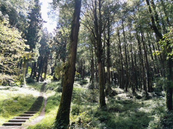 小百岳(59)-大塔山-202209251878762