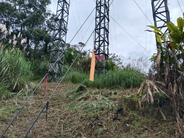 雙溪區艋舺崙古道+新路尾山+大竹林山出雙溪車站2998641