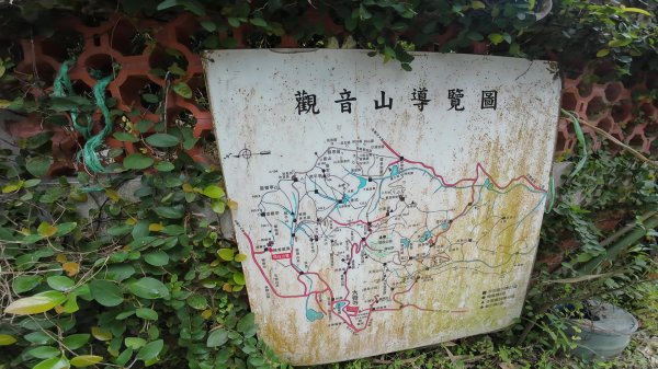 高雄 大社觀音山2960464