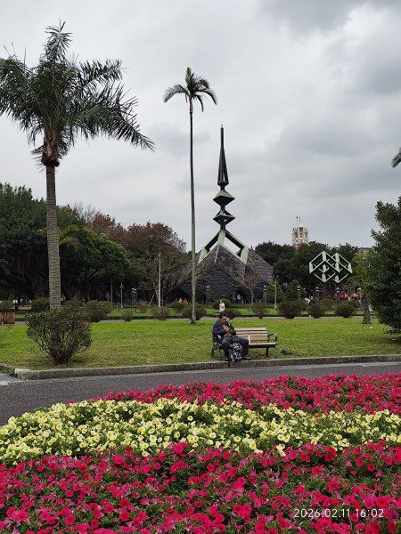 【新春賞櫻樂】平菁街42巷、宜蘭頭城火車站、二二八和平公園、東湖樂活公園3007710