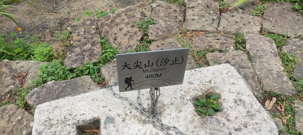 汐止大尖山3108535