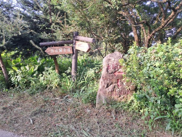 2026樟之細道：出關（聖關），老官道，挑沙古道及新開至卓蘭3118276