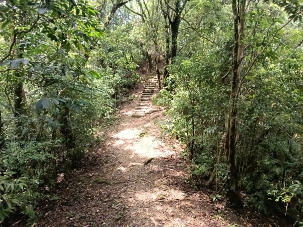 平溪區三功大厝+番子坑山+千階嶺步道O型2781165