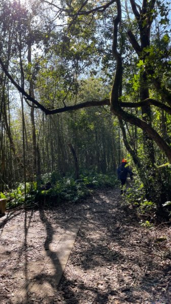 樟之細路-聖關段2686821