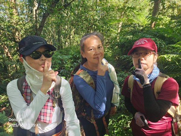 復興三尖老么之那結山1520m(嘎色鬧上)全紀錄2915475