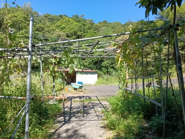 汐止區白雲古道+白雲寺O型2911980