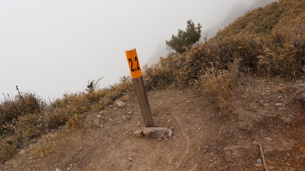 郡大山登山健行趣(百岳54號)2018848