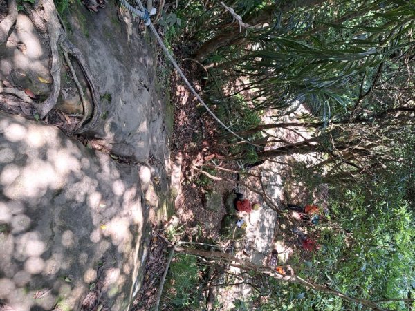 2026微笑山線平溪小黃山段3103445