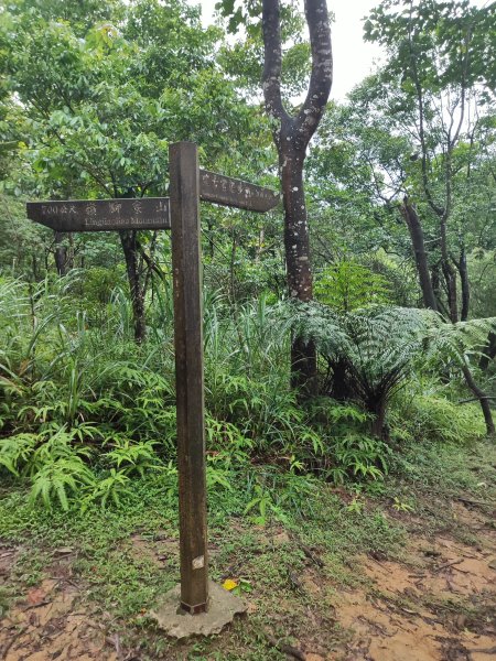 微笑山線：【五分山系】菁桐煤礦段、平溪小黃山段、望古瀑布段2841285