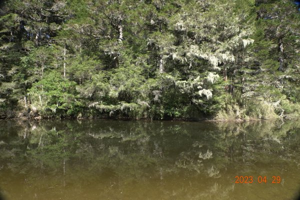 南投 仁愛 武法奈尾山2133769