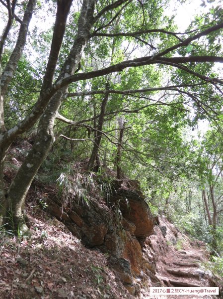 《南投》心靈之旅｜惠蓀林場步道群20171010-212890539