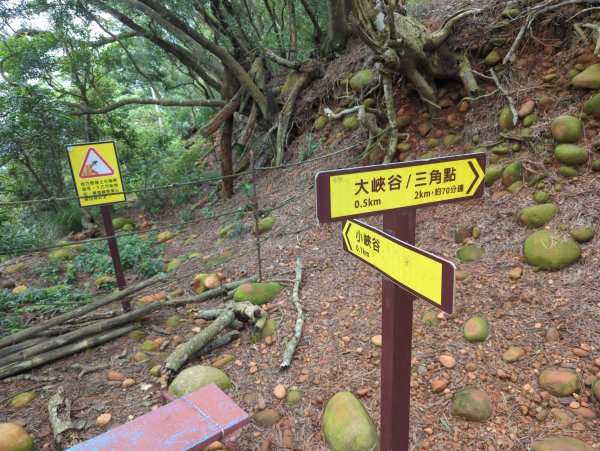 2025.07.12－火炎山、南鞍古道O行縱走2834818